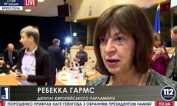 Депутат Европарламента: ЕС и Украина должны сконцентрироваться на приоритете энергетической безопасности