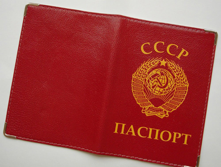 В Николаевской области две пенсионерки проголосовали по советским паспортам