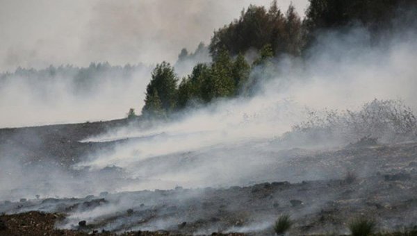 В Полтавской области загорелись торфяники