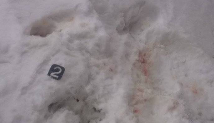 Люди в камуфляже устроили поножовщину на турбазе в Закарпатье