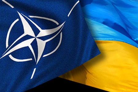 НАТО поможет Украине в создании Сил спецопераций