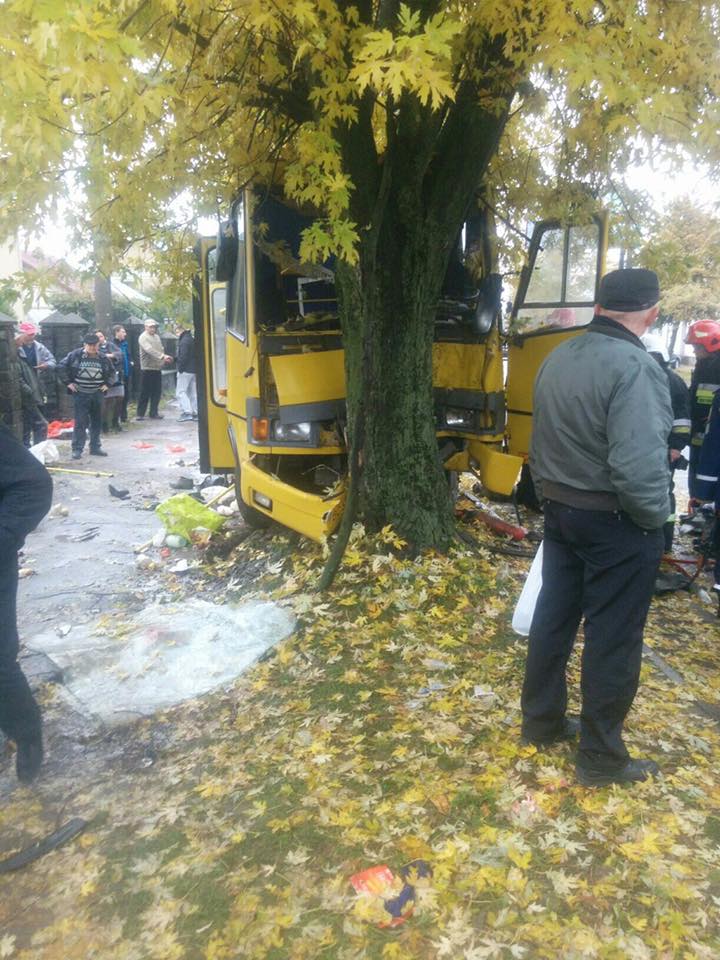 Во Львове маршрутка врезалась в дерево, госпитализированы 15 человек