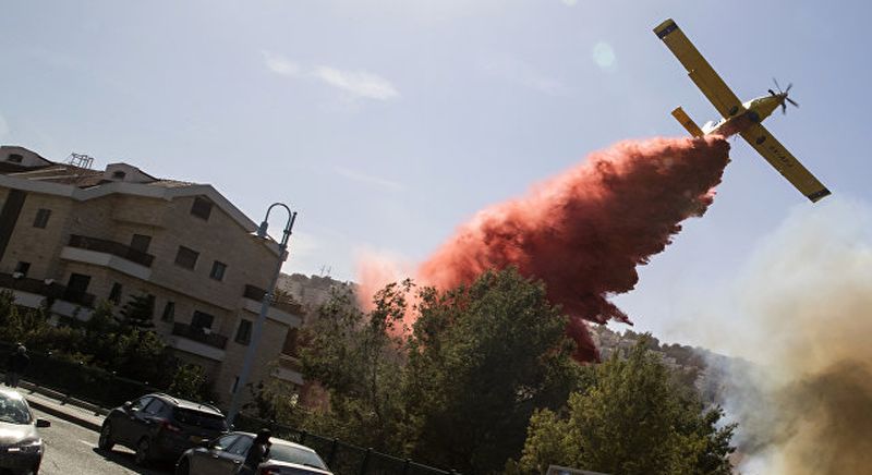 В Израиле сообщили о ликвидации всех пожаров