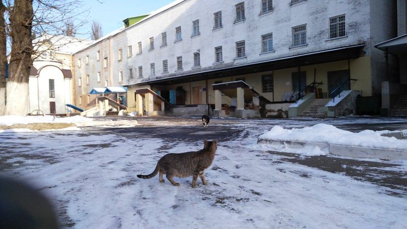 «Торнадовцы» не нападали на сотрудников СИЗО, – Минюст