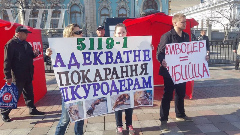 У Рады митингуют против жестокого обращения с животными