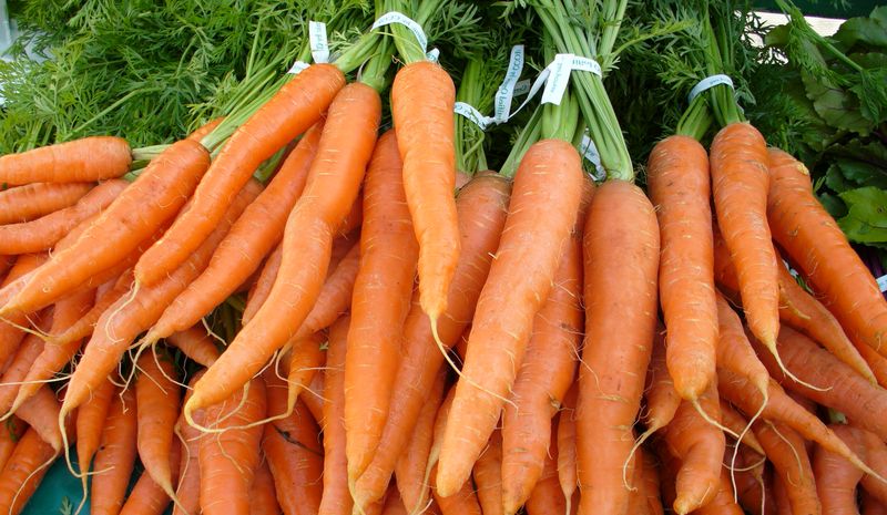Украина из-за нехватки моркови вынуждена закупать ее в ЕС
