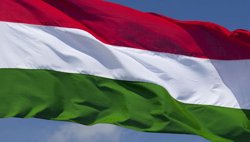 Венгрия обратилась в ОБСЕ и ООН из-за языковой статьи украинского закона об образовании
