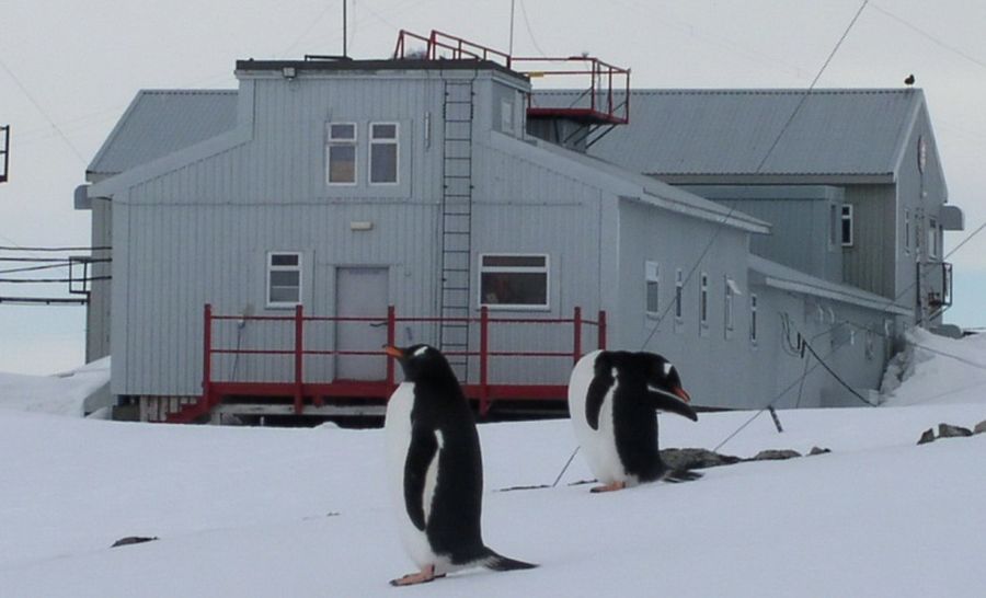 На украинскую станцию в Антарктиде отправятся две экспедиции