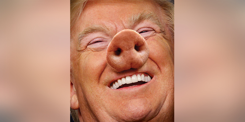 New York Magazine изобразил Трампа со свиным пятачком