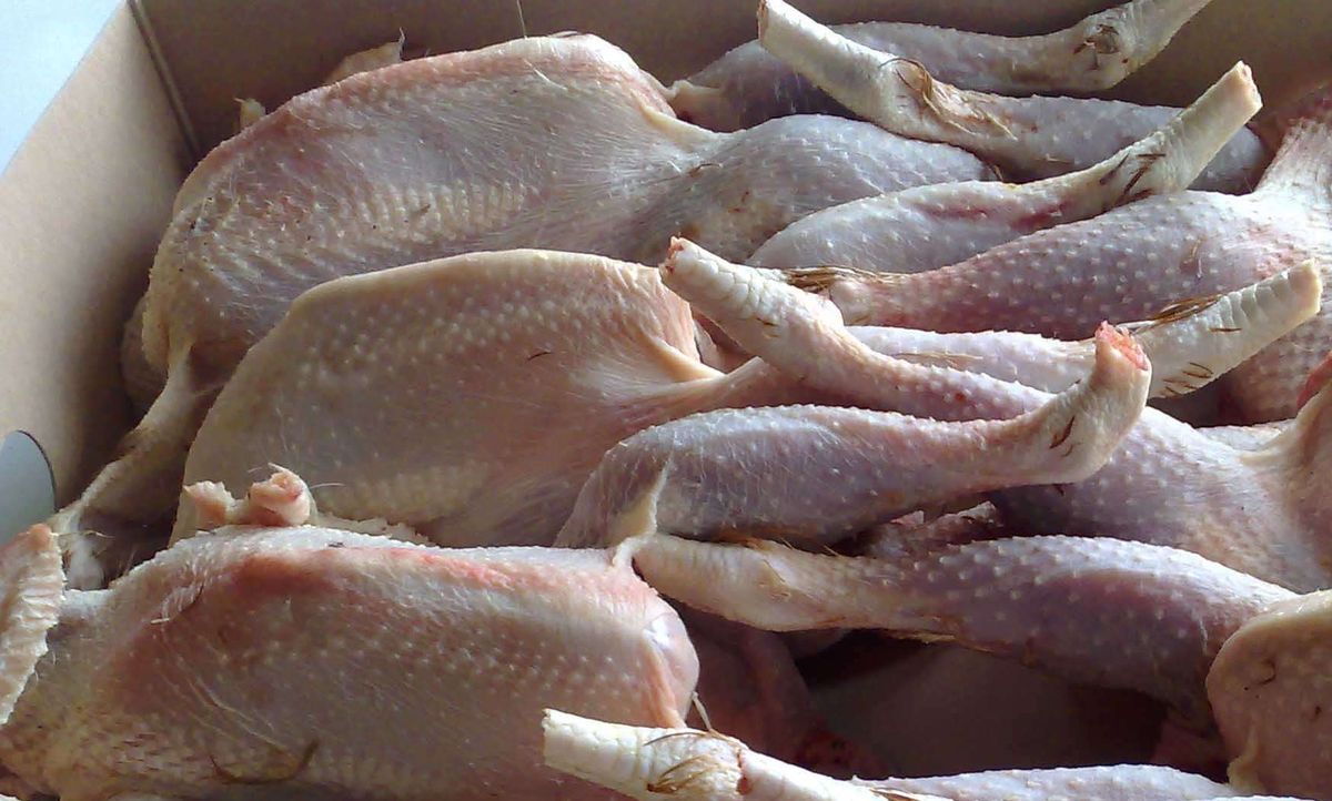 ГПУ: в Житомире заключенных кормили курятиной с сальмонеллой