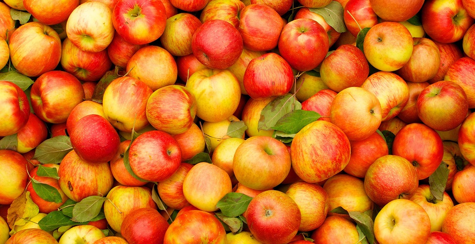 Украина сможет поставлять яблоки в Индию