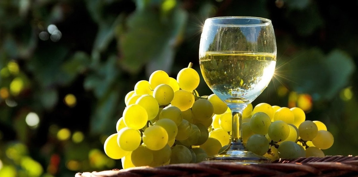 Украинские виноделы готовы отказаться от названий «шампанское» и «коньяк»