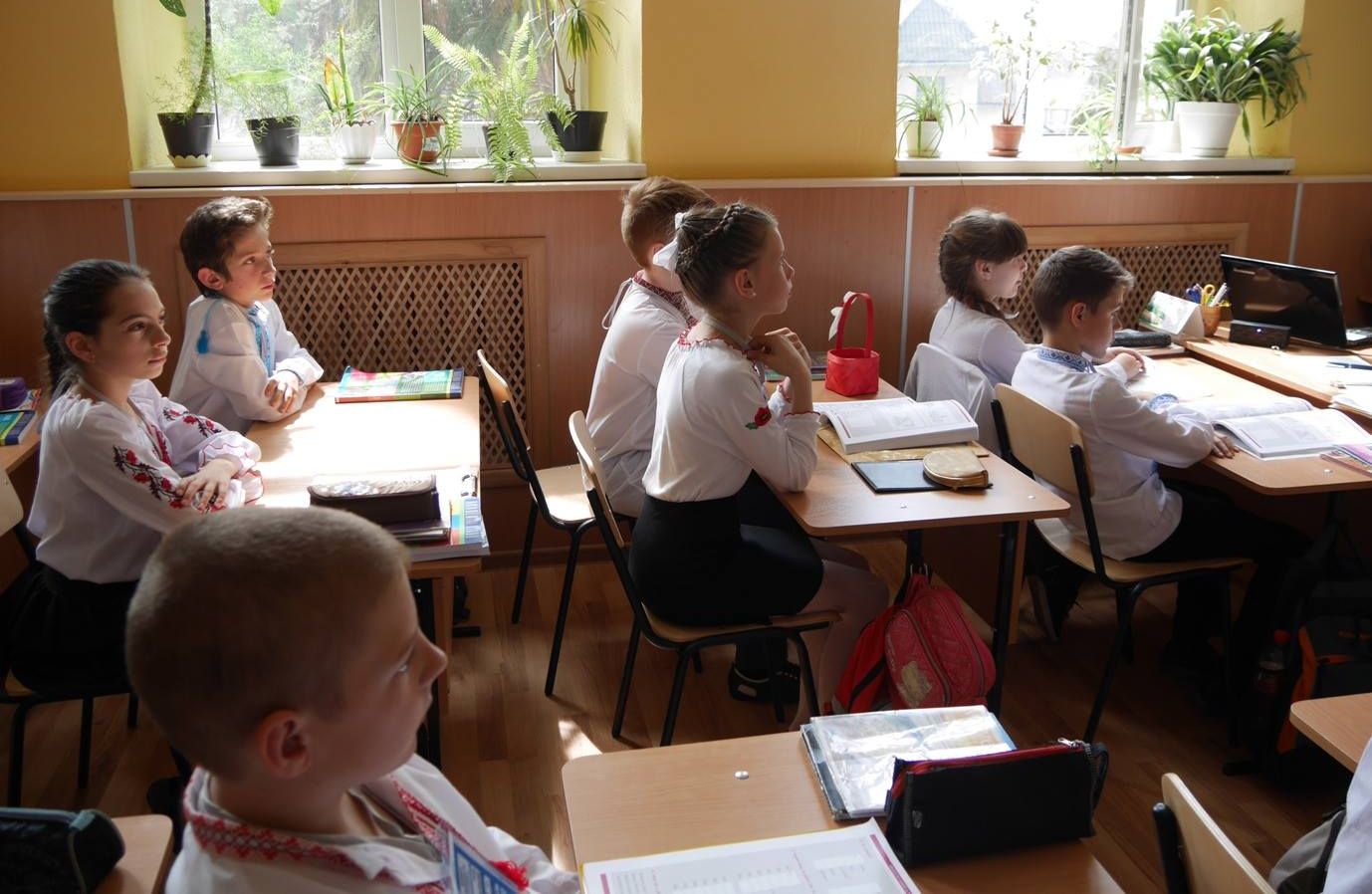 На Закарпатье хотят открыть украинско-венгерскую «школу дружбы»