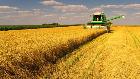 Украина вошла в пятерку лидеров по аграрному экспорту в ЕС