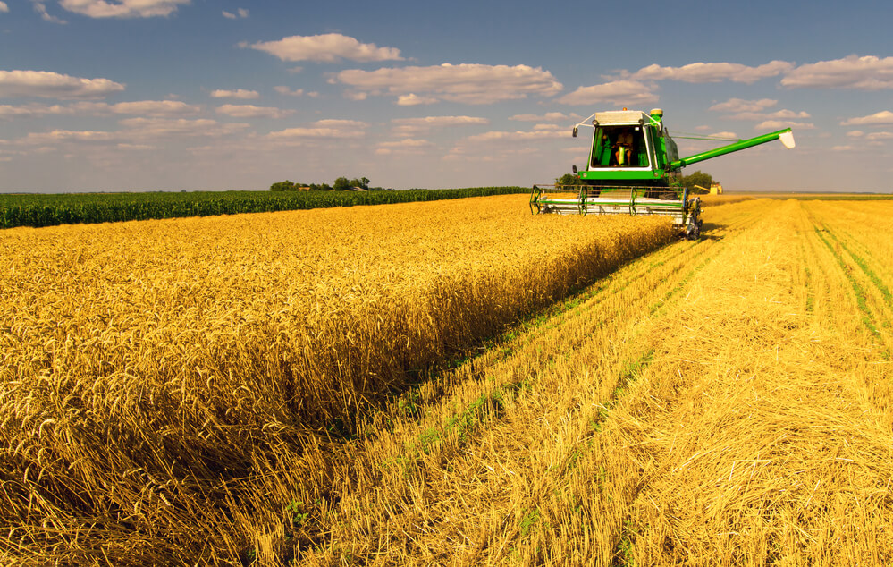 Украина вошла в пятерку лидеров по аграрному экспорту в ЕС