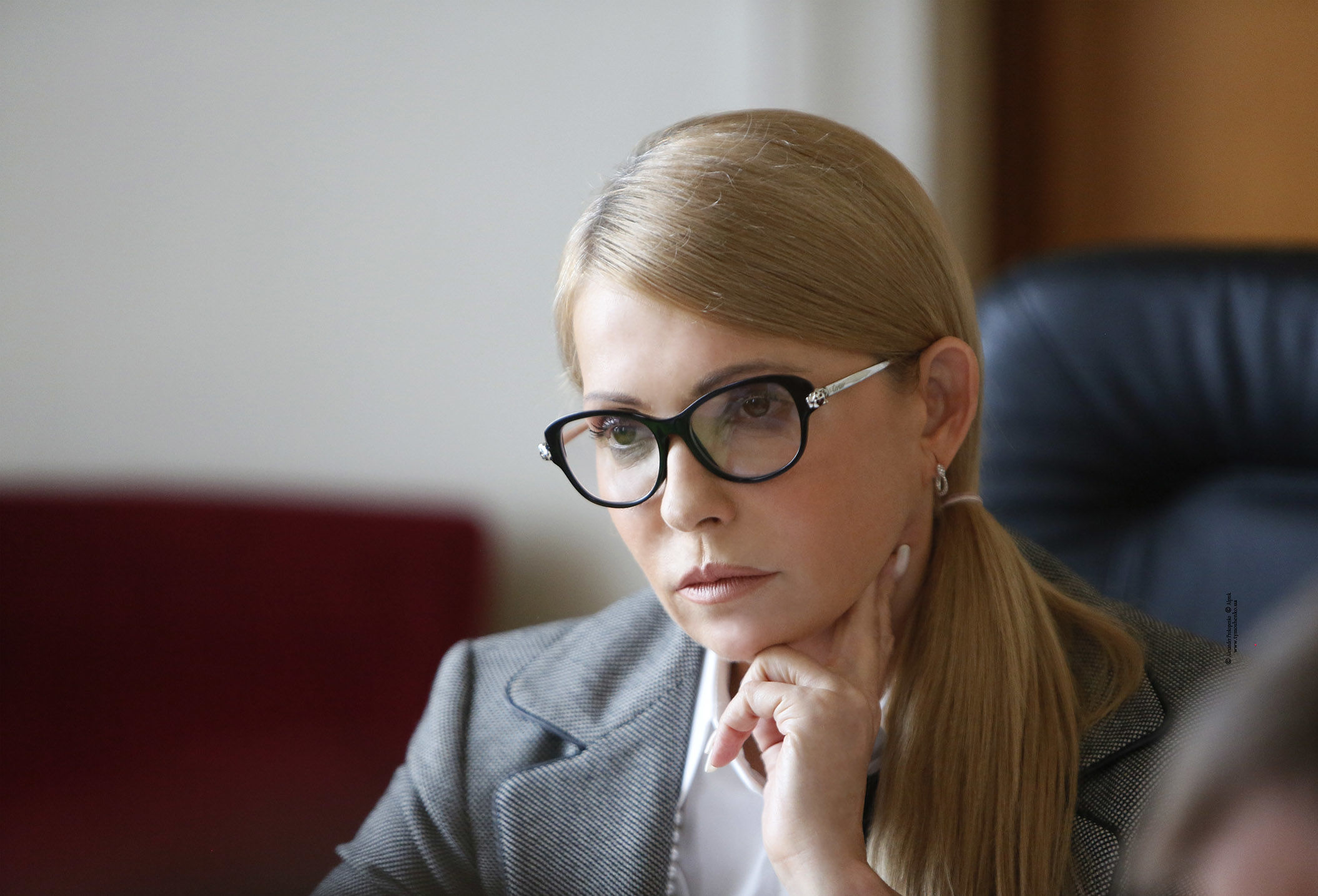 Луценко просит проверить доходы и декларацию Тимошенко