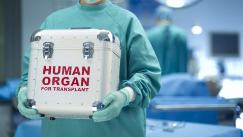 В Украине появятся трансплант-координаторы