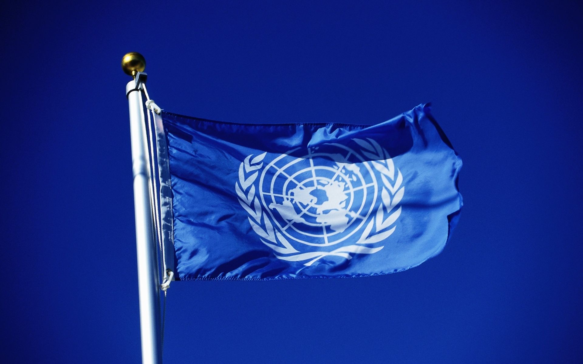 ООН пожаловалась на действия националистов в Украине