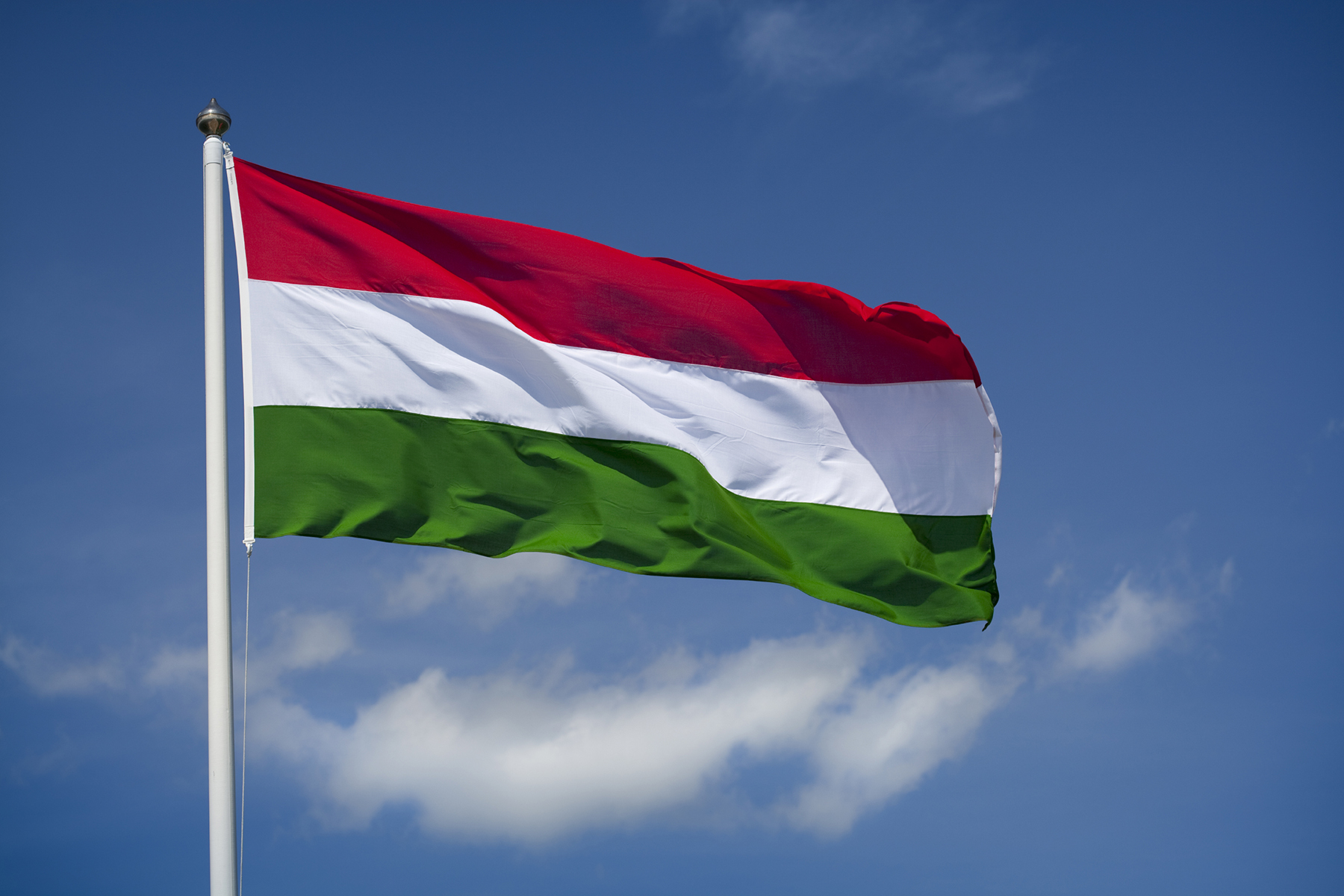 Венгрия наказала украинцев за подделку документов на гражданство – СМИ