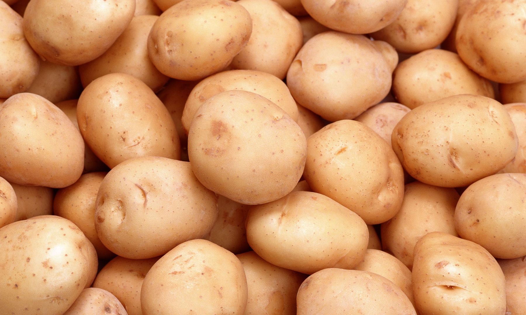 Еврокомиссия не пустила на рынки ЕС украинский картофель