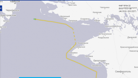 ВМС ВСУ: в наши воды зашел российский сухогруз, а мы его отпустили