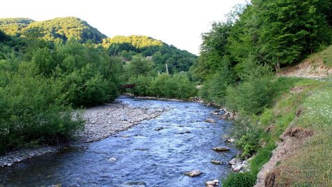 На Закарпатье лесовоз упал в реку: пять человек погибли