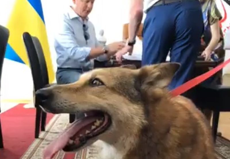 Ляшко пришел в Раду с собакой (видео)