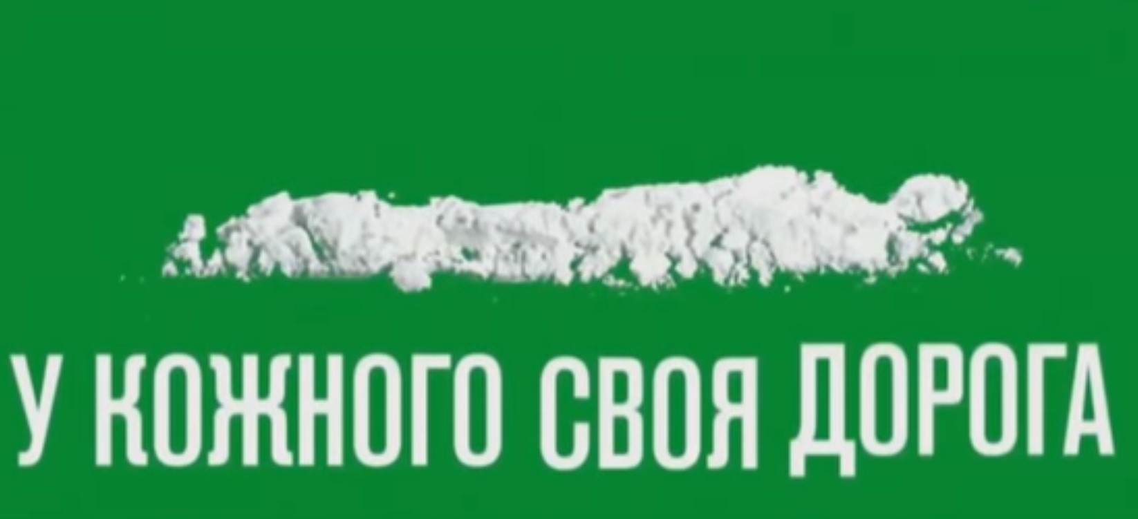 Автора видео, на котором Зеленского «сбивает» фура, могут посадить на пять лет