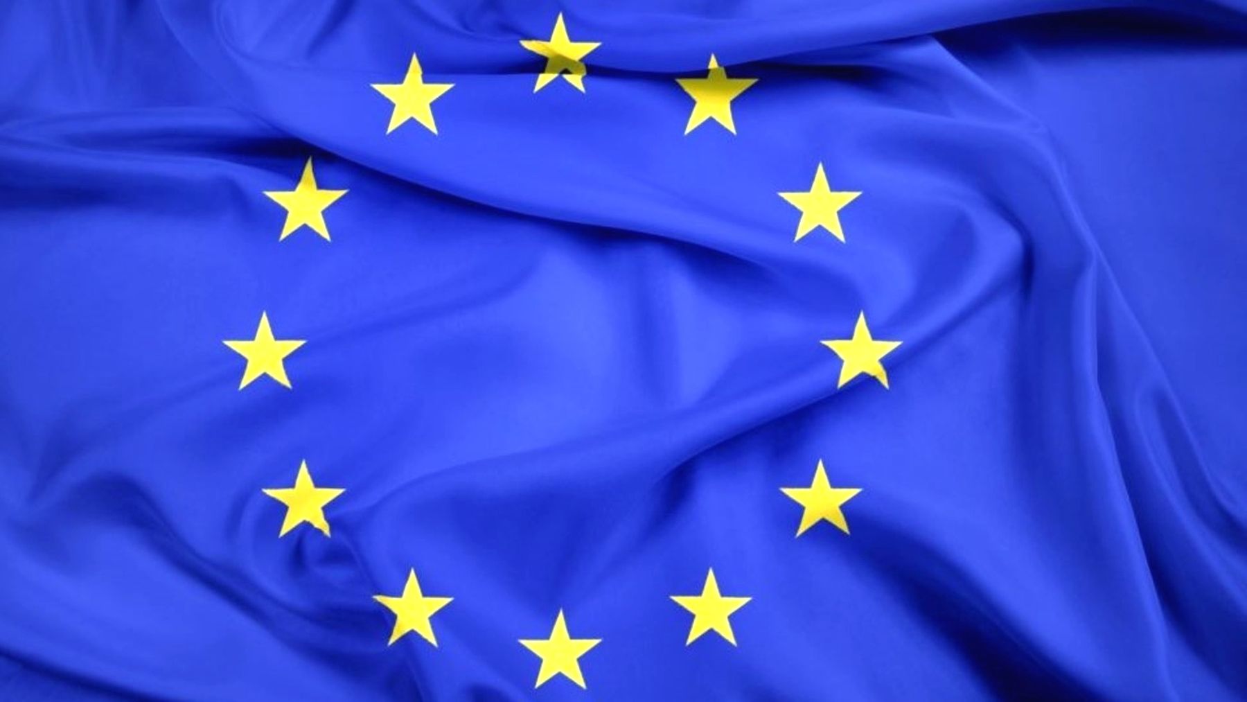 ЕС ждет быстрого расследования нападений на Гонтареву