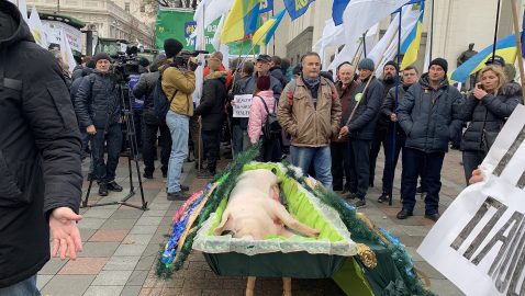 Аграрии принесли под Раду свинью в гробу (видео)