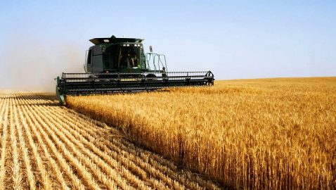 Украина обогнала Китай по экспорту сельхоз продукции в ЕС