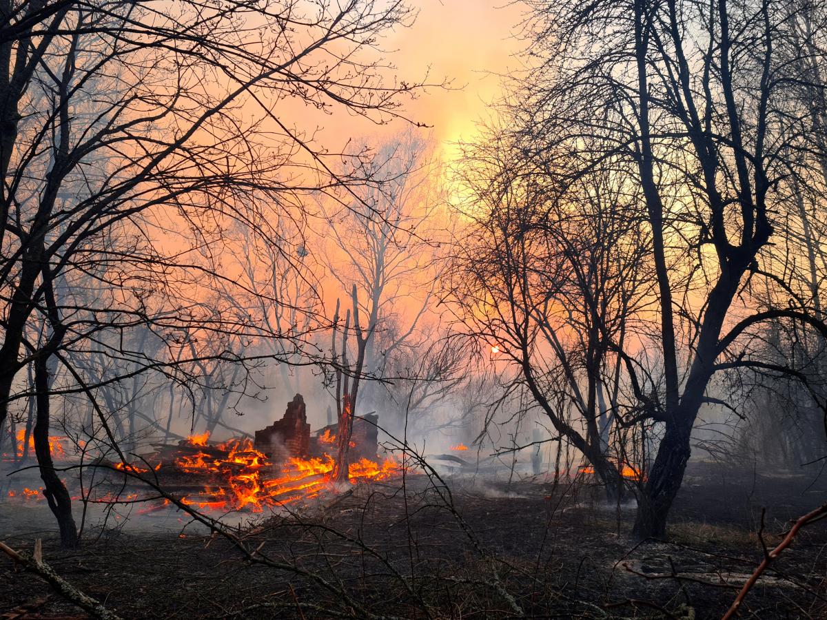 Пожар в Чернобыльской зоне потушен