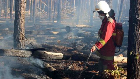 Штраф за поджог лесов увеличили до 153 тыс. грн