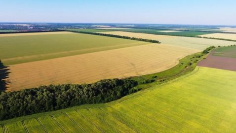 Закон о рынке земли хотят заблокировать через суд