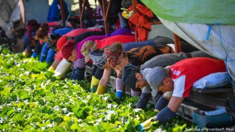 Германия продлила разрешение на въезд сезонных работников