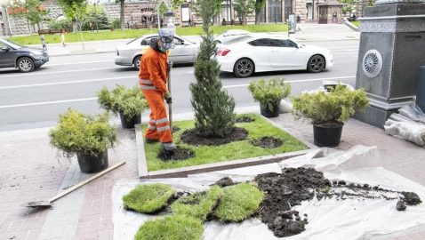 Кличко попросил не делать из можжевельника слона