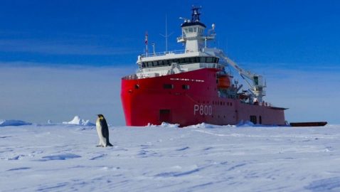 Трамп поручил создать полярный флот из ледоколов