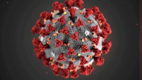 В Гарварде допустили, что коронавирус возник летом 2019-го. Китай называет это глупостью