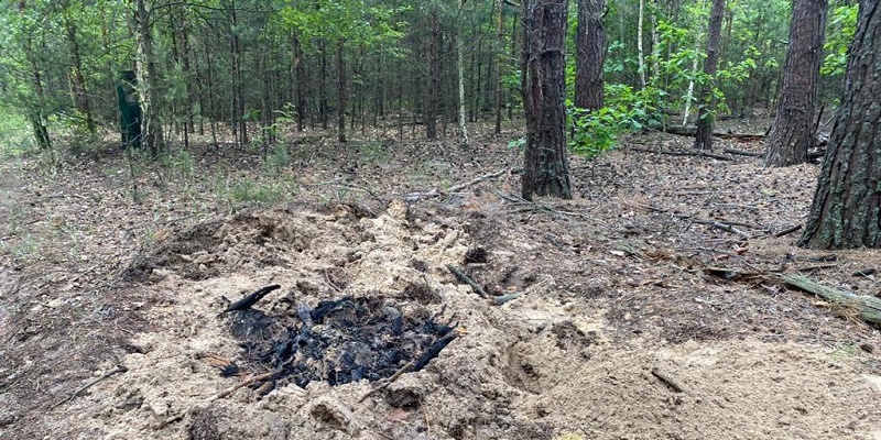 В Славутиче закопанными в лесу нашли мужчину и женщину
