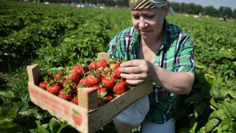 В Jooble рассказали, где заробитчане чаще всего искали работу на карантине