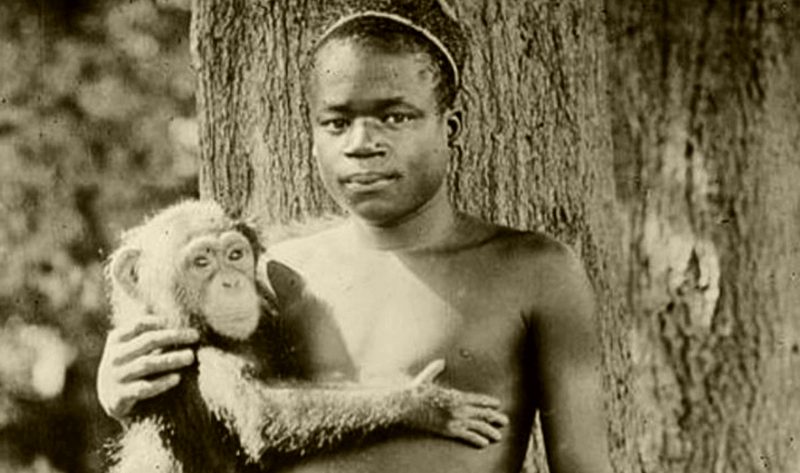 В США извинились за то, что 114 лет назад показывали афроамериканца в обезьяннике