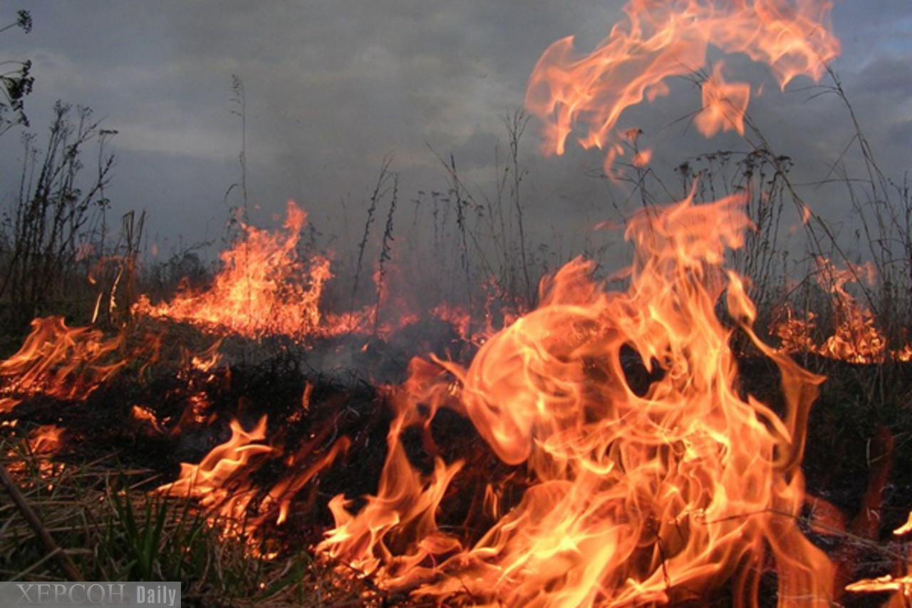 Во Львове заживо сгорела сторож детского сада, сжигая мусор