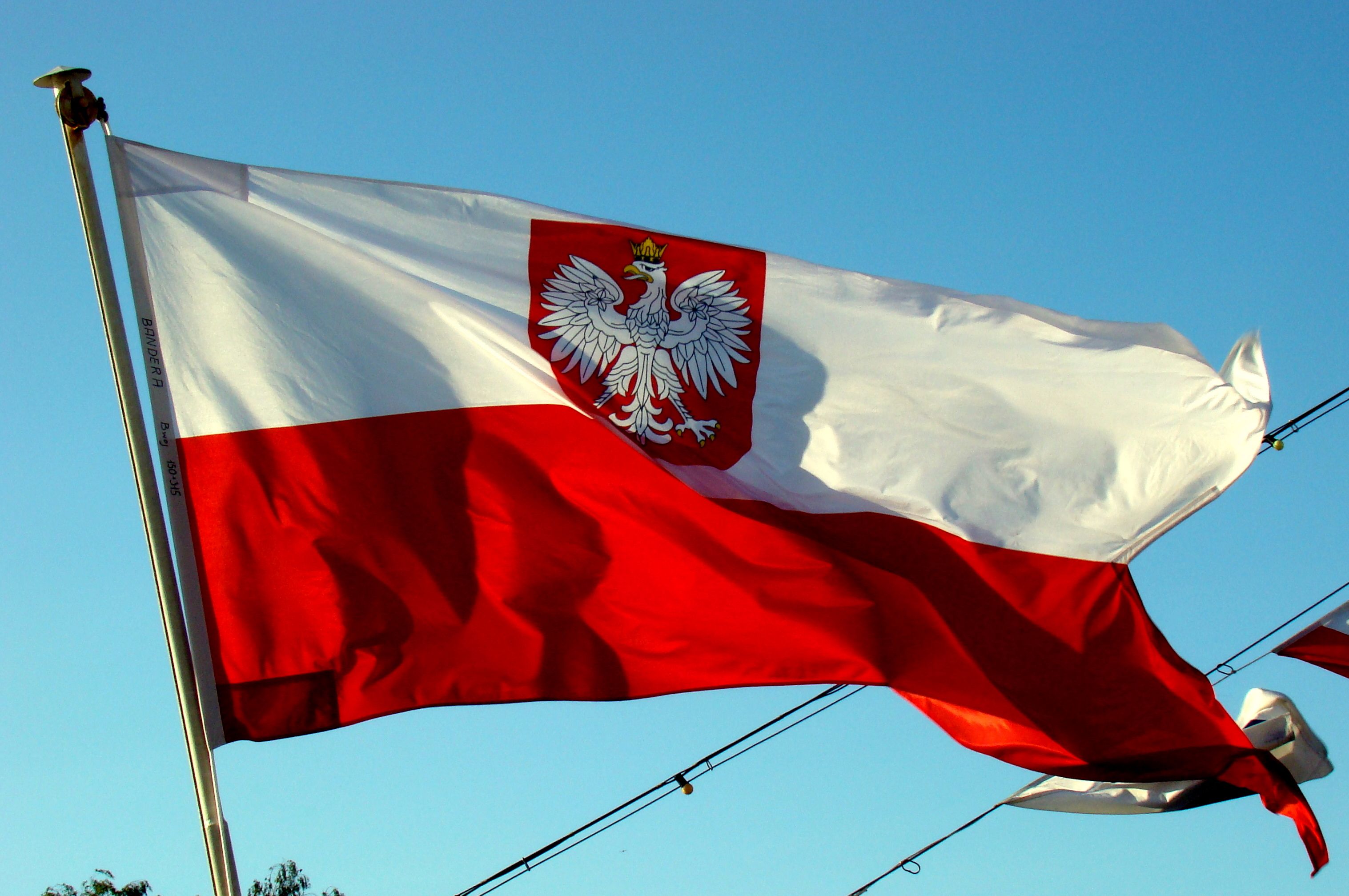 Польша попросила ЕС стать альтернативой РФ для Беларуси
