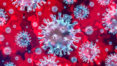 Вчені виявили в Європі новий вид коронавірусу