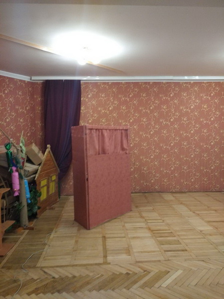 На Житомирщине вместо кабинки поставили ширму кукольного театра