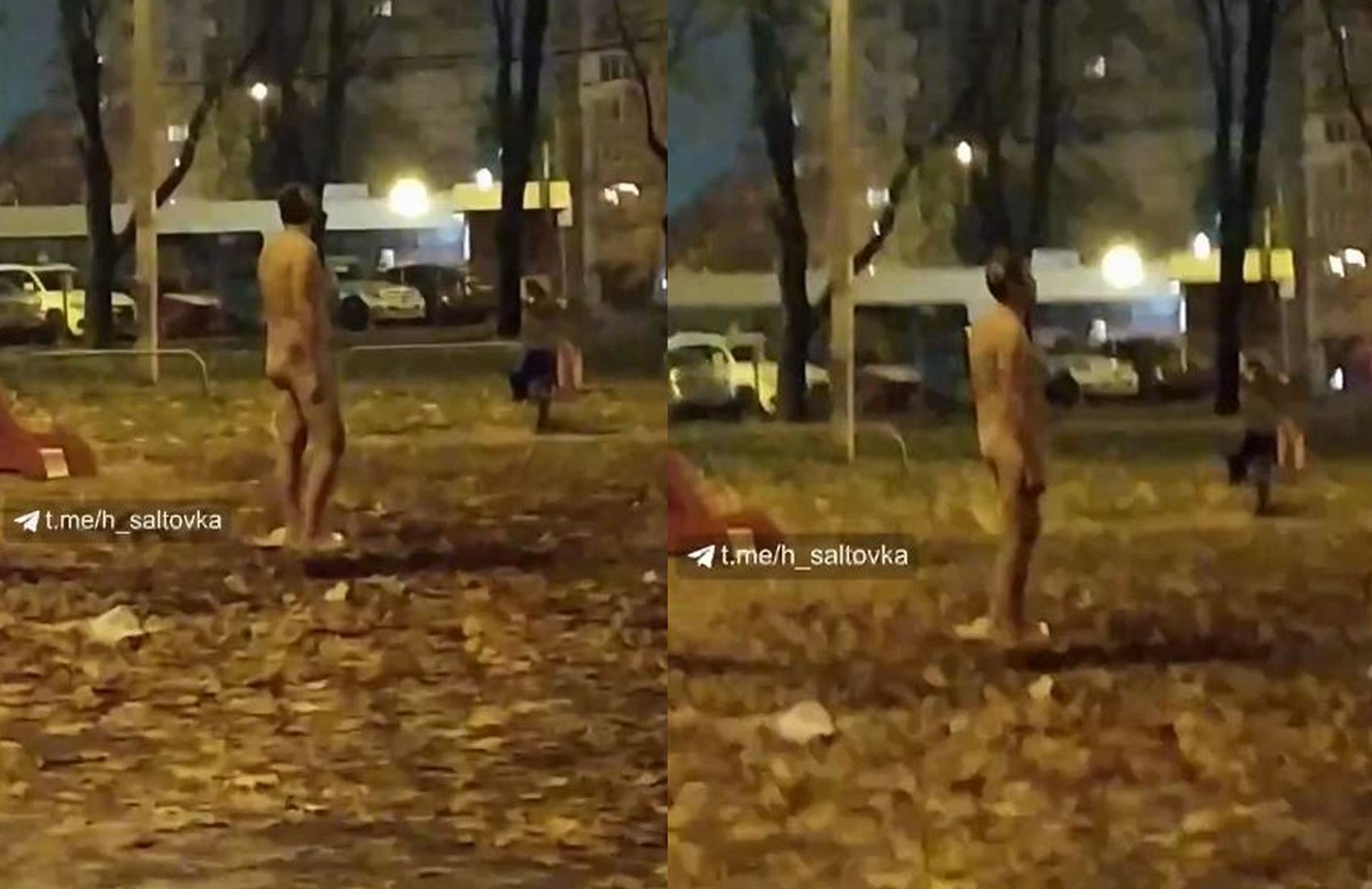 «Голо@опый перфоманс»: в Харькове голый мужчина разгуливал по городу