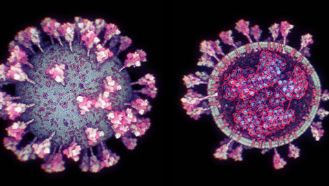 Вчені створили найточнішу 3D-модель коронавірусу