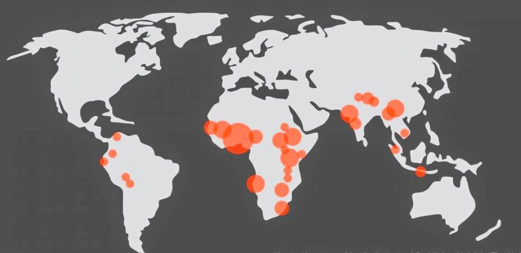 Учёные составили карту регионов планеты, являющихся потенциальными очагами новых пандемий