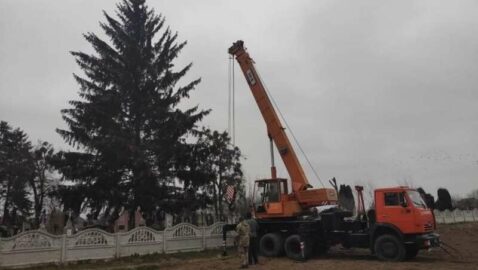 «Все в землю уйдем». На Ровенщине в центре города установили елку с кладбища