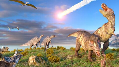 Учёные рассказали о происхождении кометы, убившей динозавров